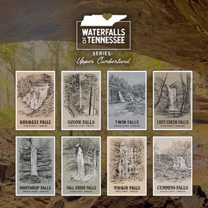 Cascades du Tennessee : la série Upper Cumberland | Jeu de cartes postales de 10 x 15 cm (4 x 6 po.) Dessins vintage | Artiste TN