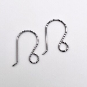 May include: Two silver earring hooks, each with a small loop at the end.