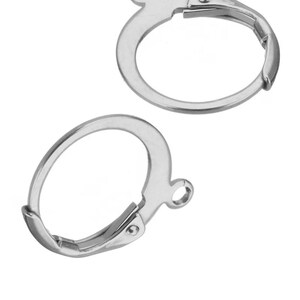 May include: Two silver earring hooks with a spring clasp closure.