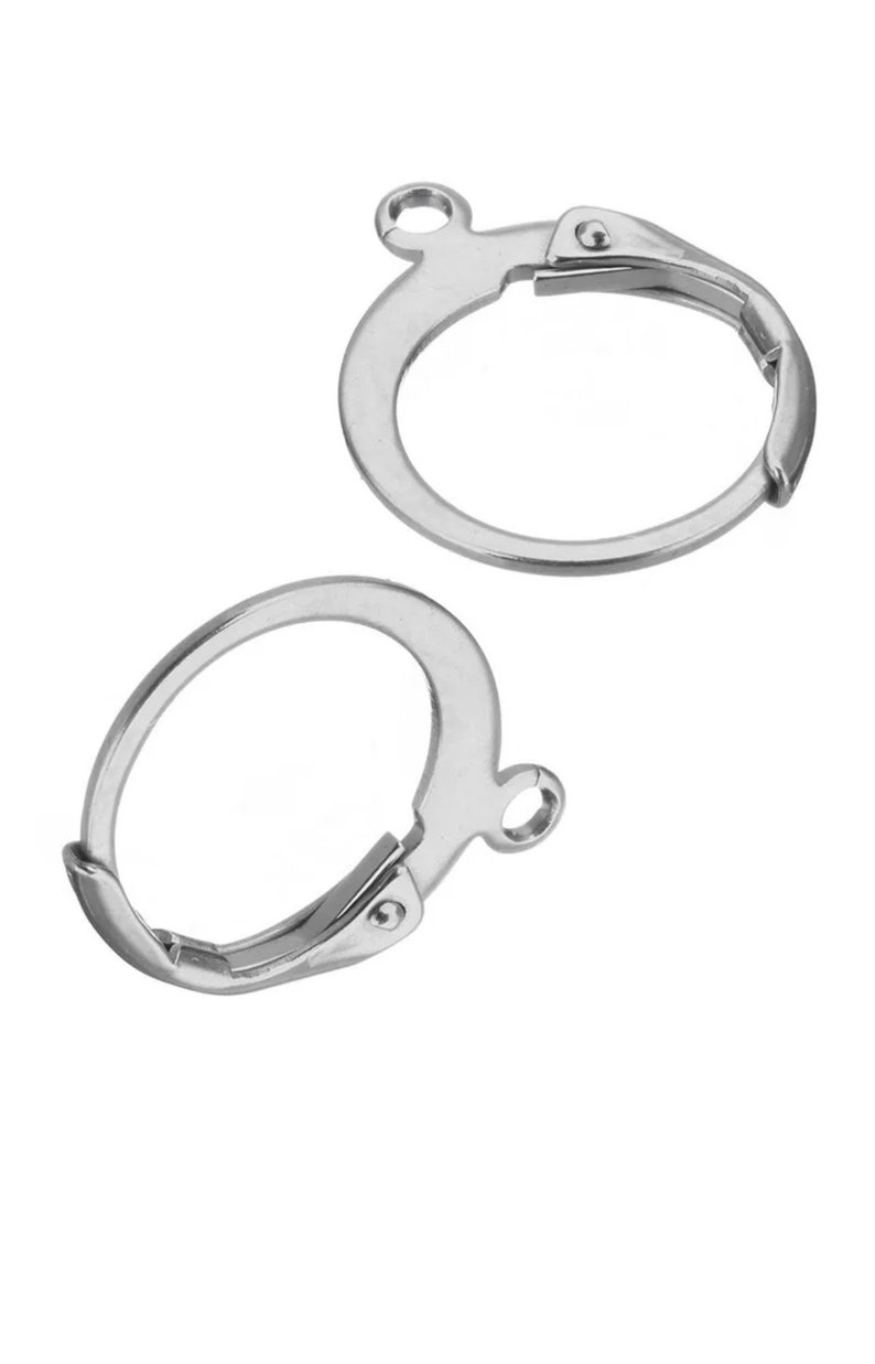 May include: Two silver earring hooks with a spring clasp closure.