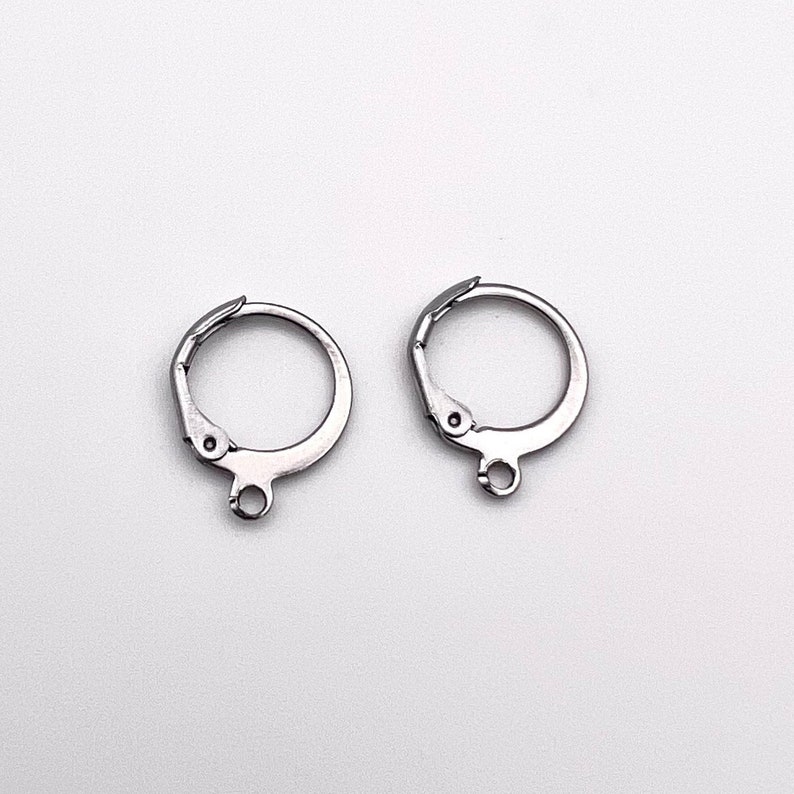 May include: Two silver earring hooks with a small loop at the bottom. The hooks are designed to be used with a variety of earring styles.