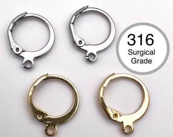 May include: Four earring hooks, two silver and two gold. The silver hooks are made of 316 surgical grade stainless steel.
