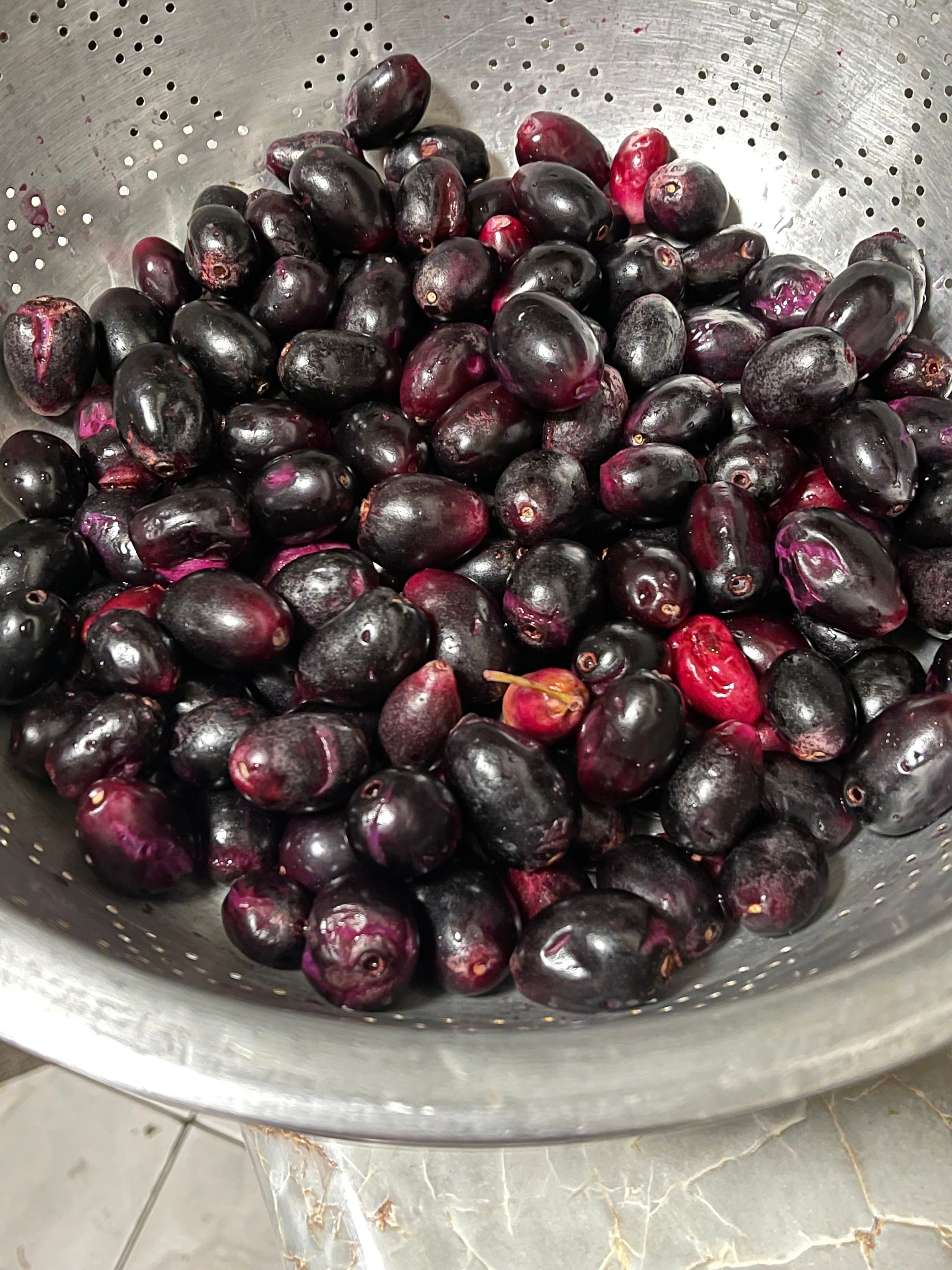 Jamun In English