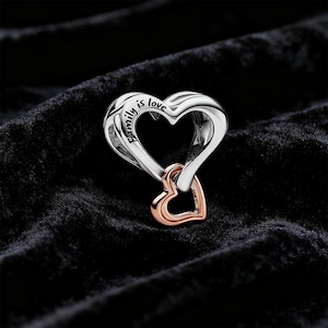 May include: A silver and rose gold heart-shaped pendant. The larger heart has the words "Family is love" engraved on it. A smaller rose gold heart is connected to the larger heart. The pendant is displayed on a black velvet surface.