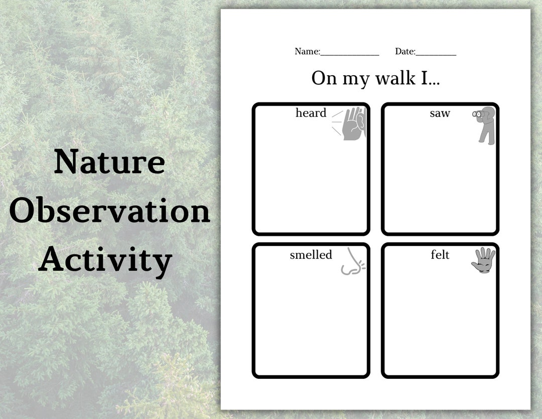 Nature Observation Activity Printable Teaching Resources, Preschool and