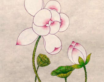 8x10 Print Lotus Flower Blooming