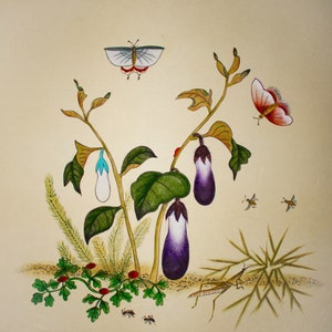 8x8 Print Eggplants