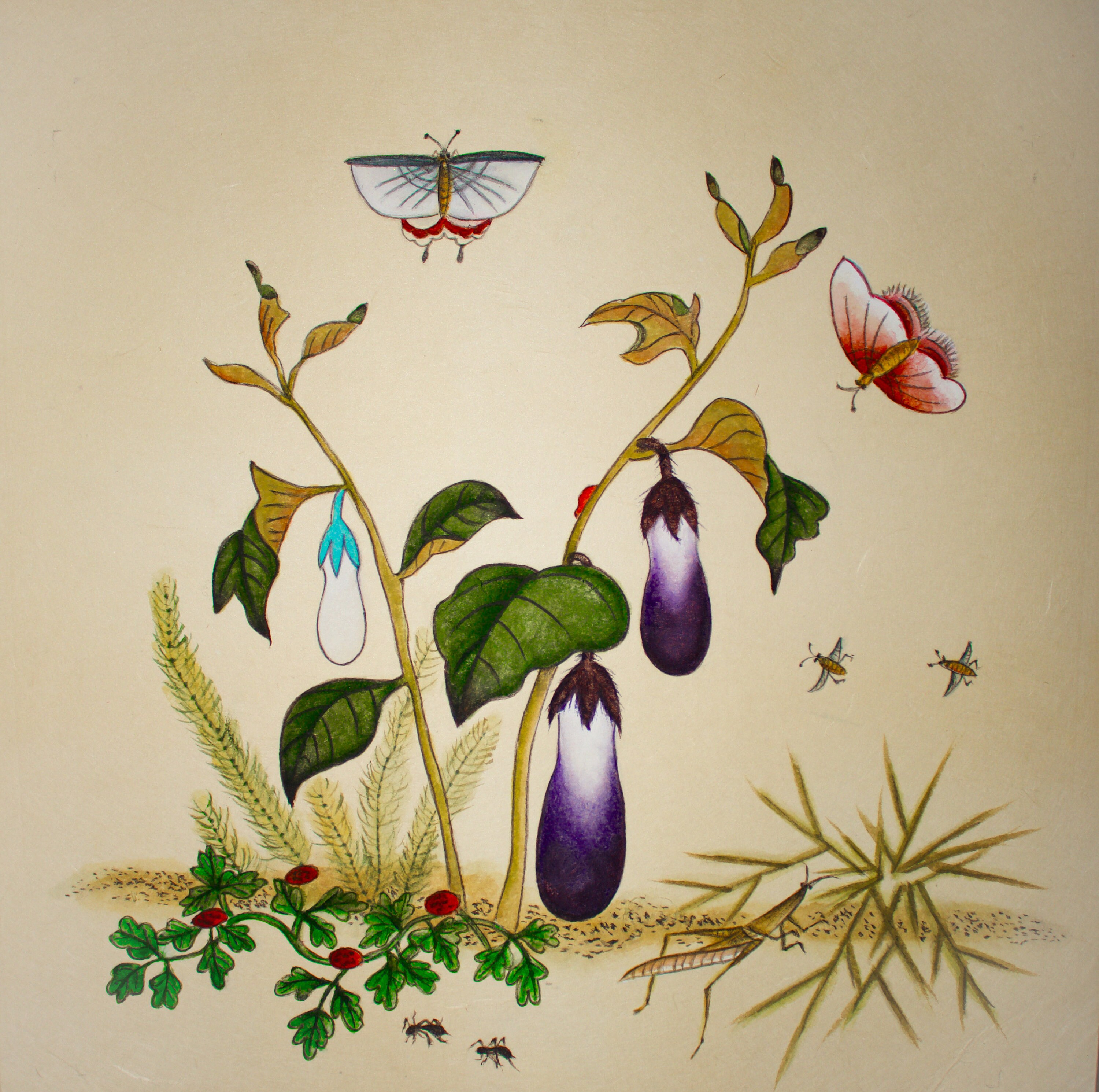 8x8 Print Eggplants