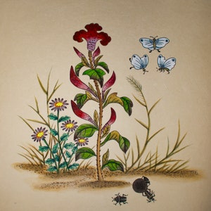 8x8 Print Flowers with Butterflies