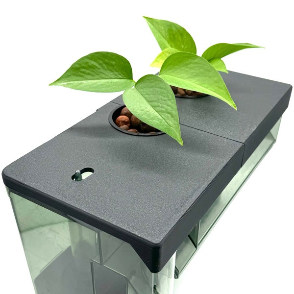 Planter Lid Compatible with Fluval AquaClear 110 Filter / 3" Pots / Various Substrate Options / Sleek Design / Customizable