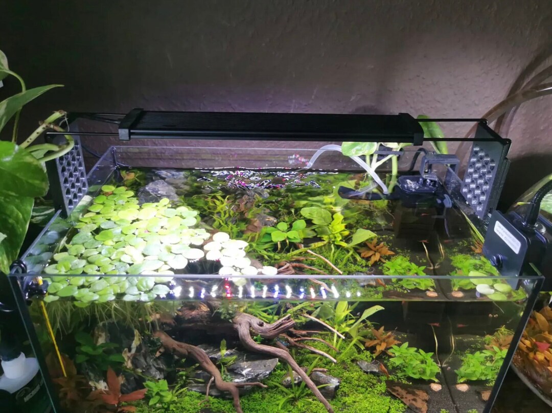 Universal Aquarium Light Riser/spacer 3 MM Glass 3 Etsy