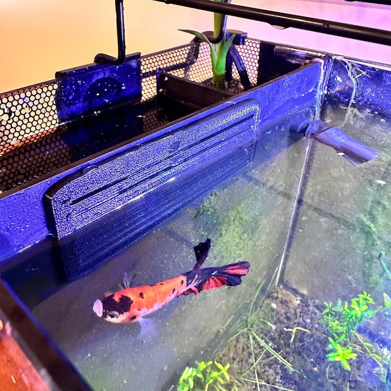 Shrimp and Betta Fish Safe Upgrade Kit for Fluval Spec Etsy