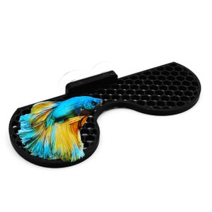 Moosleiste / Betta-Blatt für Aquarien / Saugnäpfe im Lieferumfang enthalten