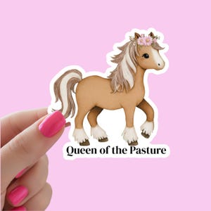 Funny horse sticker featuring a cute tan pony with a floral crown and the phrase “Queen of the Pasture,” perfect for horse lovers, equestrian gifts, and adding a playful touch to any surface.