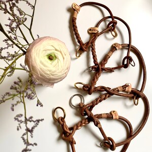 Op de afbeelding: Een set van vier bruine leren hondenhalsbanden met metalen ringen en leren labels met de tekst "zibiz".