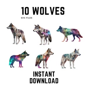 Realistische Wolf SVG Bilder für kommerzielle Nutzung, mystische Wölfe, Farbe, Kunst, für Aufkleber, Logos, Designs und mehr