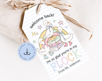 May include: A gift tag with a cartoon duck theme. The tag says "welcome back!" and "I'm so glad you're in my FLOCK". The tag has a rainbow, stars, and ducks wearing bows and boots. The tag is on a wrapped gift.