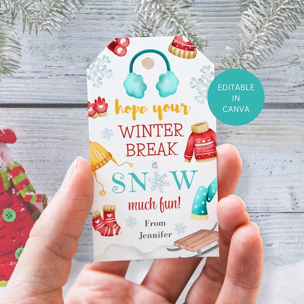 Snow Much Fun Winter Break Gift Tags, Class School Editable Holiday Labels From Students and Teachers, Digital Download Template Printable