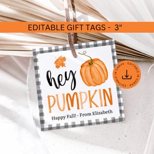 Könnte beinhalten: Ein quadratischer Geschenkanhänger mit einem grau-weißen Karomuster am Rand, verziert mit einem orangefarbenen Aquarell-Kürbis und einem kleinen orangefarbenen Blatt. Der Text lautet "hey PUMPKIN" und "Happy Fall! - From Elizabeth". Der Anhänger ist 7,62 cm groß.