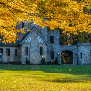 May include: A stone castle with a large arched doorway and windows, surrounded by a lawn with fallen autumn leaves. The castle is partially obscured by a large tree with yellow leaves.