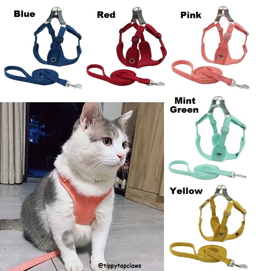 Photo inspiration: Picture Idea: Custom Cat Harness Cat Harness And Leash Set Portrait Cat