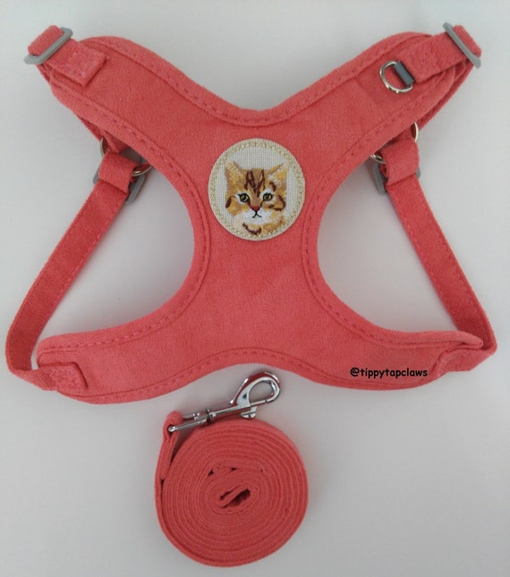 Personalized cat harness top