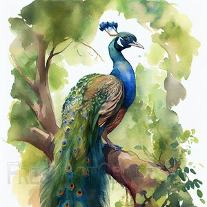 Peacock Watercolor Art, Bird Painting, Home Decor, Bird Wall Art, Digital Print, Instant Download, Printable