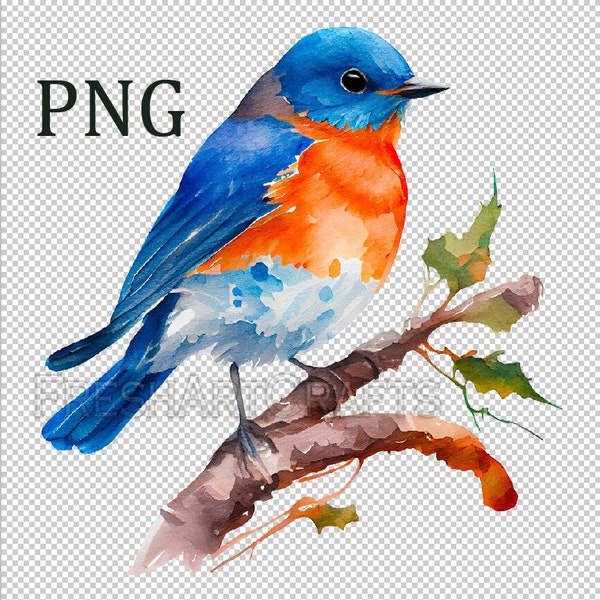 Bluebird png, Bluebird clip art, Bluebird Watercolor Art, Clipart with transparent background, Bird Painting, Digital Print, Printable