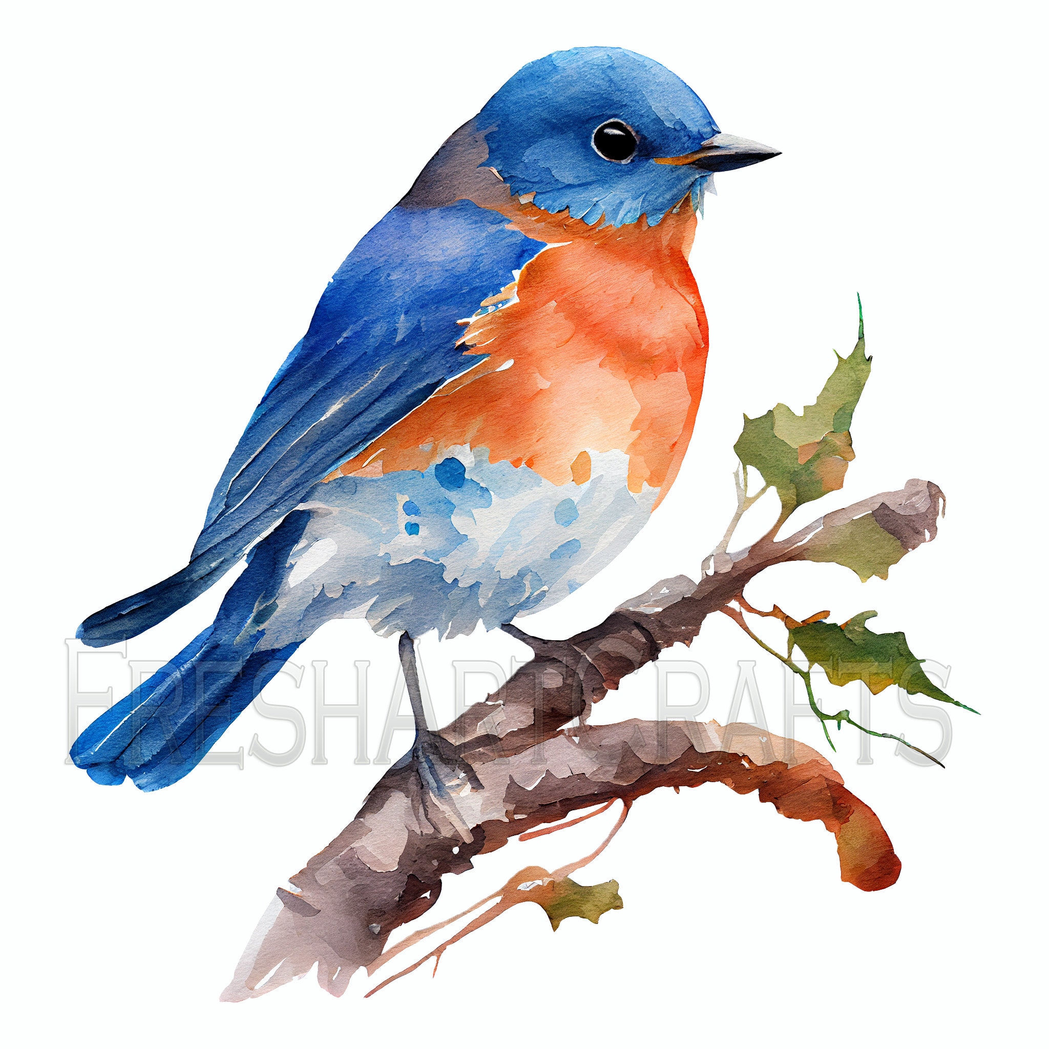 Bluebird Png, Bluebird Clip Art, Bluebird Watercolor Art, Clipart With