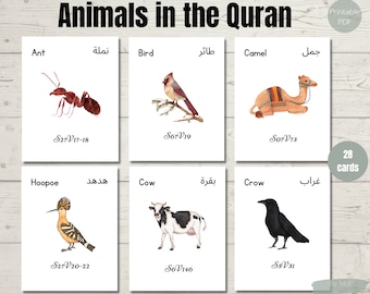 Animals in the Quran, Animals Flashcards, printable Quran animals, Muslim homeschool activities, Islamic activities, Muslim Kids activities