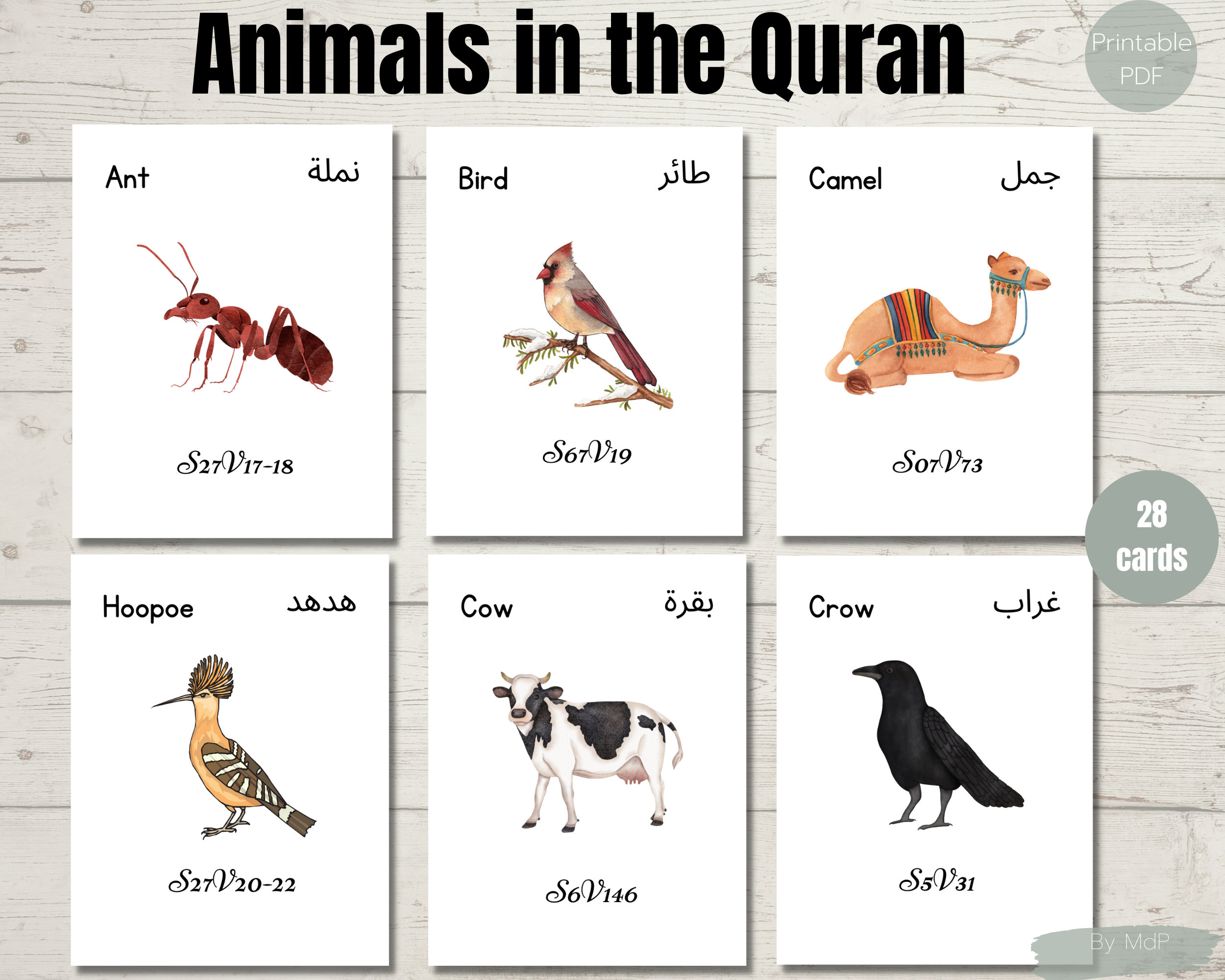 Animals in the Quran Animals Flashcards Printable Quran Etsy UK