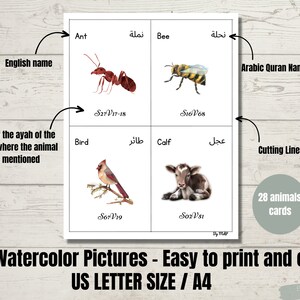 Animals in the Quran, Animals Flashcards, Printable Quran Animals, Muslim Homeschool Activities ...