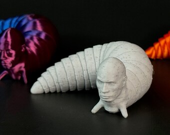 Oryginalny Rock Fidget Slug | Dwayne The Rock Johnson | Gag Gift dla dzieci | Zabawka sensoryczna | Druk 3D