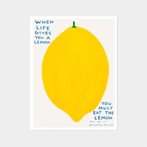 When Life Gives You A Lemon, David Shrigley, Original Lithograph Art Poster