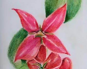 Pink Floral Wall Art Printable, Botanical Colored Pencil Print, Tropical Flower Digital Download, Pink Red Flower Print, 4 Sizes Bedroom Art