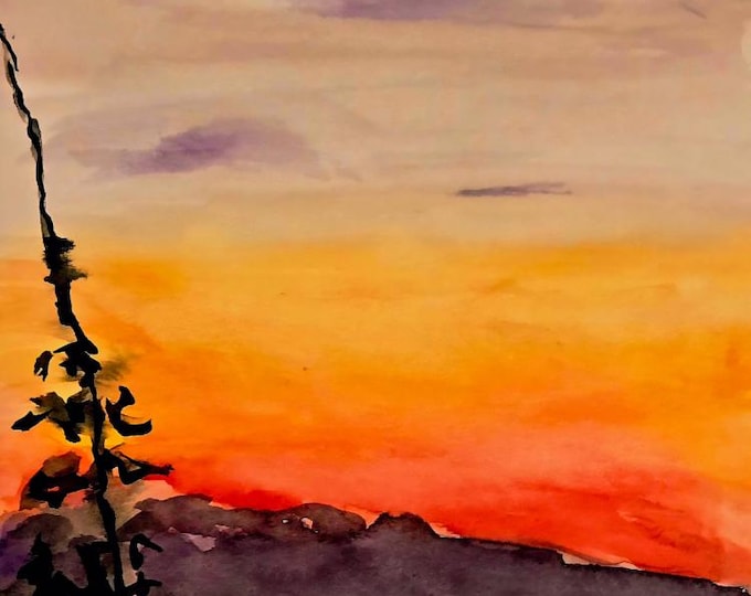 Landscapes