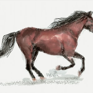May include: A digital illustration of a running horse. The horse is depicted in shades of brown and black, with a flowing mane and tail. The artwork captures the horse in mid-stride, conveying a sense of movement and energy. The background is a simple white.