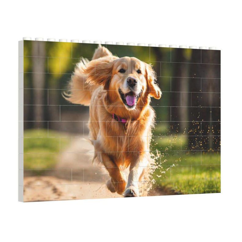 K&ouml;nnte beinhalten: Ein Golden Retriever l&auml;uft mit einem gl&uuml;cklichen Gesichtsausdruck &uuml;ber eine gr&uuml;ne Wiese.