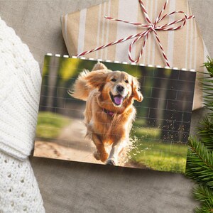 K&ouml;nnte beinhalten: Ein Golden Retriever l&auml;uft mit herausgestreckter Zunge und einem gl&uuml;cklichen Gesichtsausdruck &uuml;ber eine gr&uuml;ne Wiese.