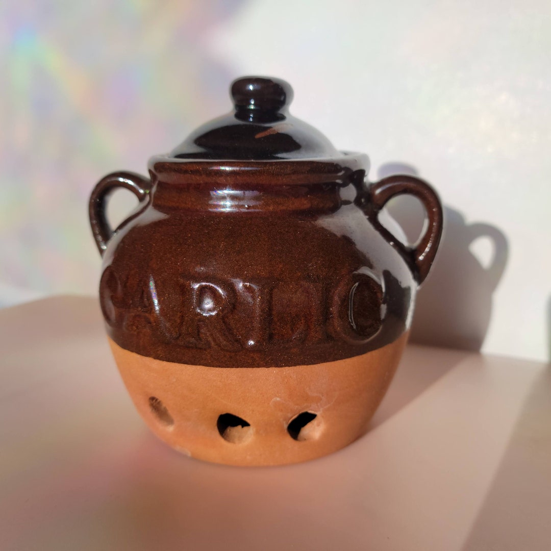 Vintage Twotone Terracotta Garlic Clove Keeper Garlic Etsy