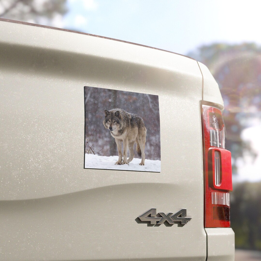 Wolf in Snow Car Magnet | Nature Animal SUV Accessory | 5