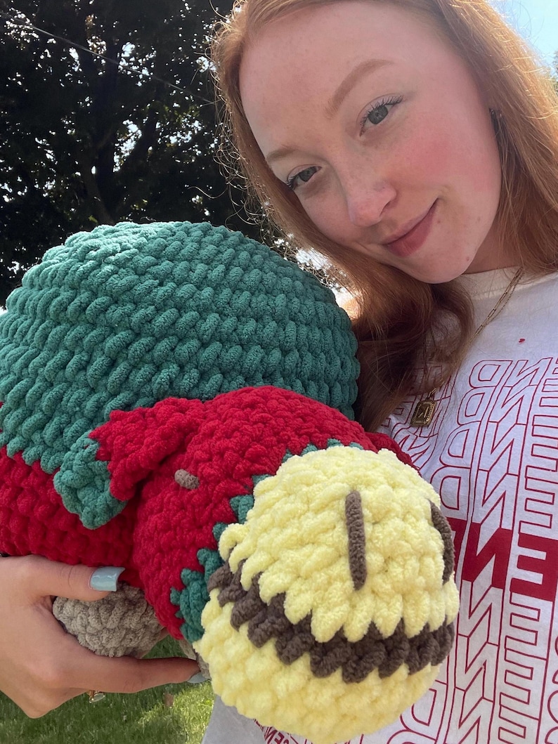 May include: A crocheted plush toy with a green, red, yellow, and brown color scheme. The toy has a round body and a face with a yellow nose and brown eyes.