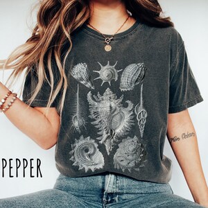 Vintage Seashell Shirt, Boho Summer Tee, Sealife T-Shirt, Ocean Shirt, Nature Shirt, Marine Biology Shirt, Beach Shirt, Summer Shirt