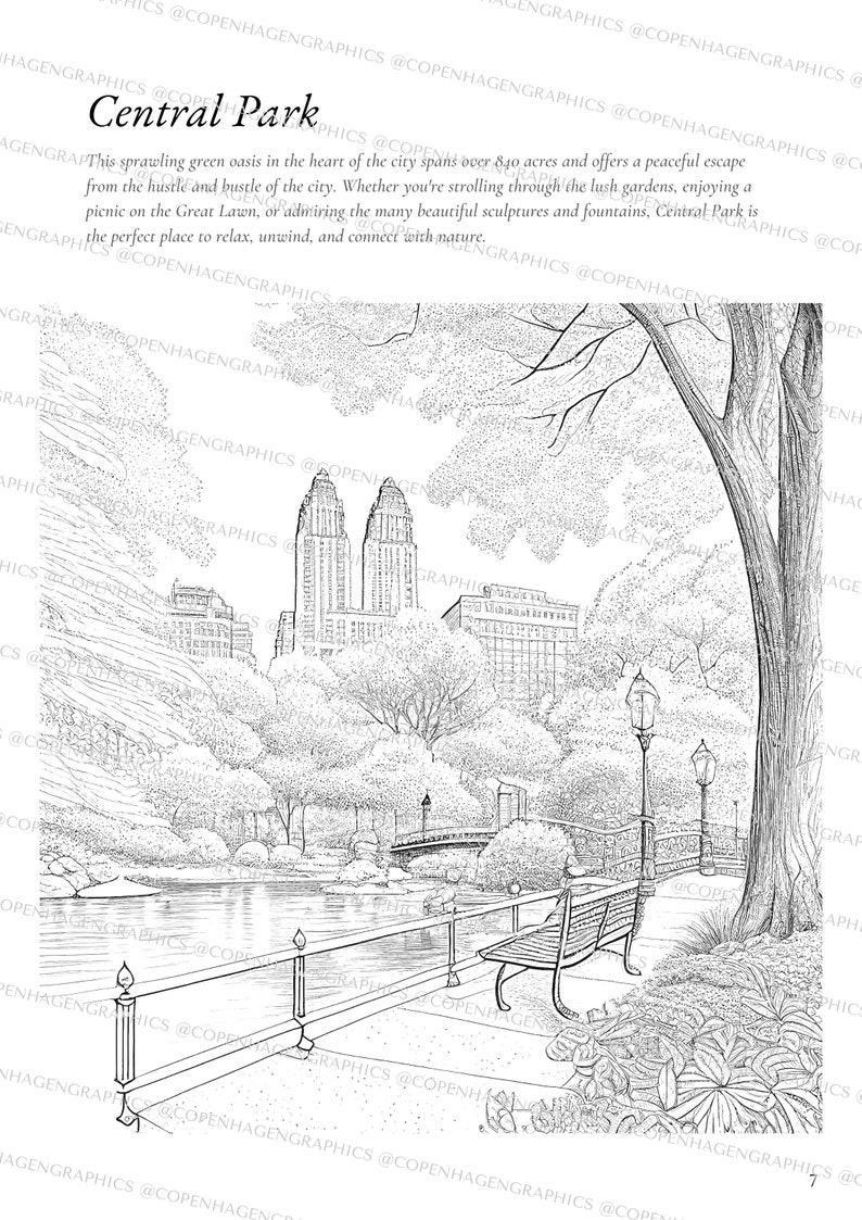 Coloring Book 20 New York Pics Adult Coloring Book coloring Book Pdf