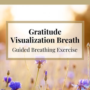 Powerful Breathing Exercise: Gratitude Visualization Breath | Guided Breathing Exercise
