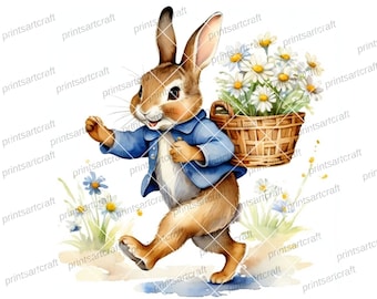 24 margaritas, imágenes prediseñadas de Peter Rabbit, imágenes prediseñadas de acuarela imprimibles, descarga digital, alta resolución, manualidades con papel, diario creativo.