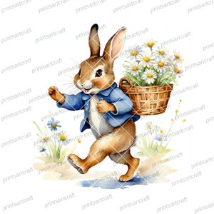 24 Gänseblümchen Peter Rabbit Clipart, druckbare Aquarell Clipart, digitaler Download, hohe Auflösung, Papierhandwerk, Junk Journal