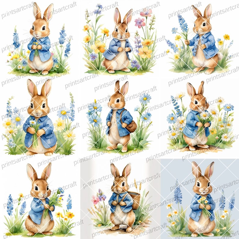 24 Daisies Peter Rabbit Clipart, Printable Watercolor Clipart, Digital ...