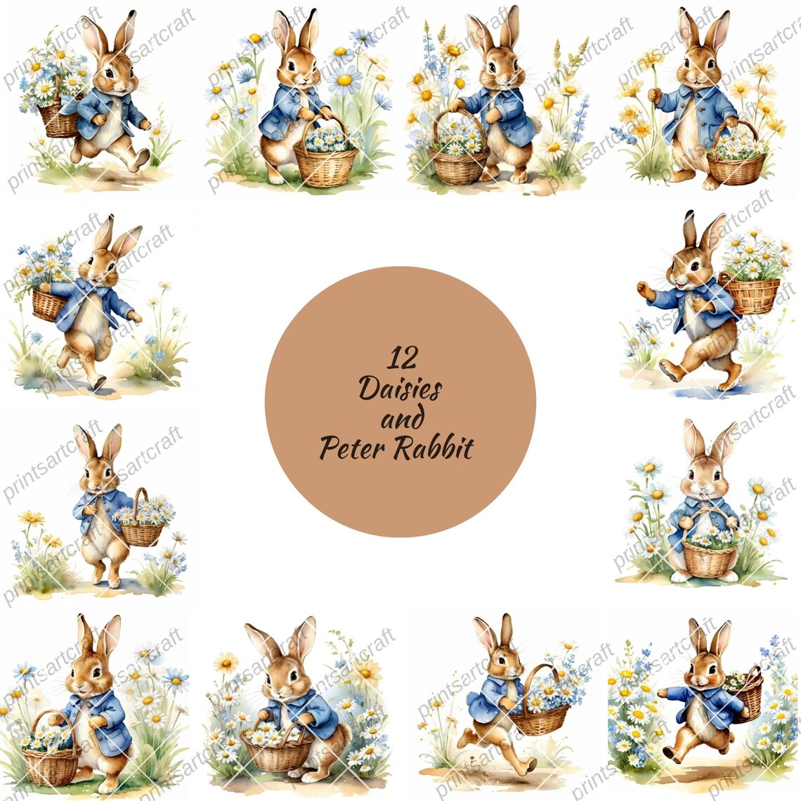 24 Daisies Peter Rabbit Clipart, Printable Watercolor Clipart, Digital ...