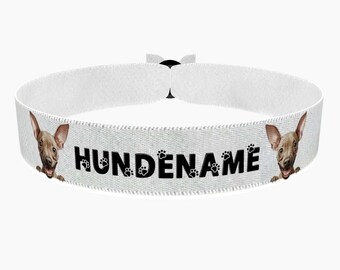 American Hairless Terrier stoffen armband, klantgericht met naam